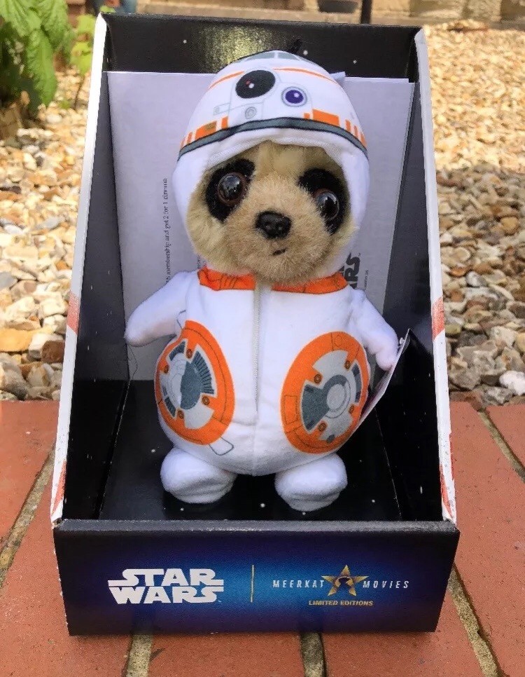 meerkat movies teddy